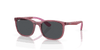 [Dark Grey Lenses, Polished Transparent Pink Frame]