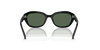 [Dark Green Lenses, Polished Black Frame]