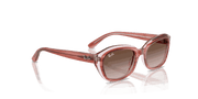 Gradient Brown Lenses, Polished Striped Pink On Transparent Pink Frame