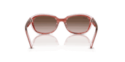 Gradient Brown Lenses, Polished Striped Pink On Transparent Pink Frame