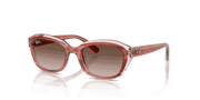 Gradient Brown Lenses, Polished Striped Pink On Transparent Pink Frame