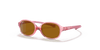 [Brown Lenses, Polished Transparent Light Red Frame]