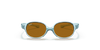 [Brown Lenses, Polished Transparent Light Blue Frame]