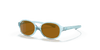 [Brown Lenses, Polished Transparent Light Blue Frame]