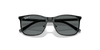 [Dark Grey Polar Lenses, Polished Black On Silver Frame]