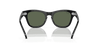 [Green Lenses, Polished Black Frame]