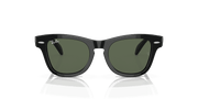 Green Lenses, Polished Black Frame