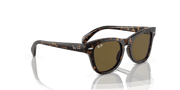 Brown Lenses, Polished Havana Frame