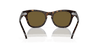 [Brown Lenses, Polished Havana Frame]