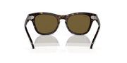 Brown Lenses, Polished Havana Frame