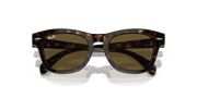 Brown Lenses, Polished Havana Frame