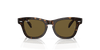 [Brown Lenses, Polished Havana Frame]