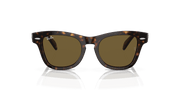 Brown Lenses, Polished Havana Frame