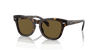 [Brown Lenses, Polished Havana Frame]