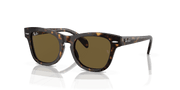 Brown Lenses, Polished Havana Frame