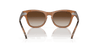 [Brown Lenses, Polished Transparent Brown Frame]