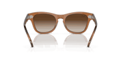 Brown Lenses, Polished Transparent Brown Frame