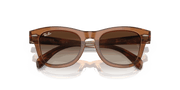 Brown Lenses, Polished Transparent Brown Frame