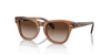 [Brown Lenses, Polished Transparent Brown Frame]