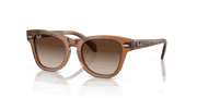 Brown Lenses, Polished Transparent Brown Frame