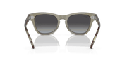 Grey Lenses, Polished Transparent Green Frame