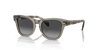 [Grey Lenses, Polished Transparent Green Frame]