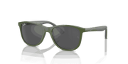 Silver/Grey Lenses, Polished Green On Grey Frame