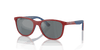 [Grey Black Lenses, Polished Red On Blue Frame]