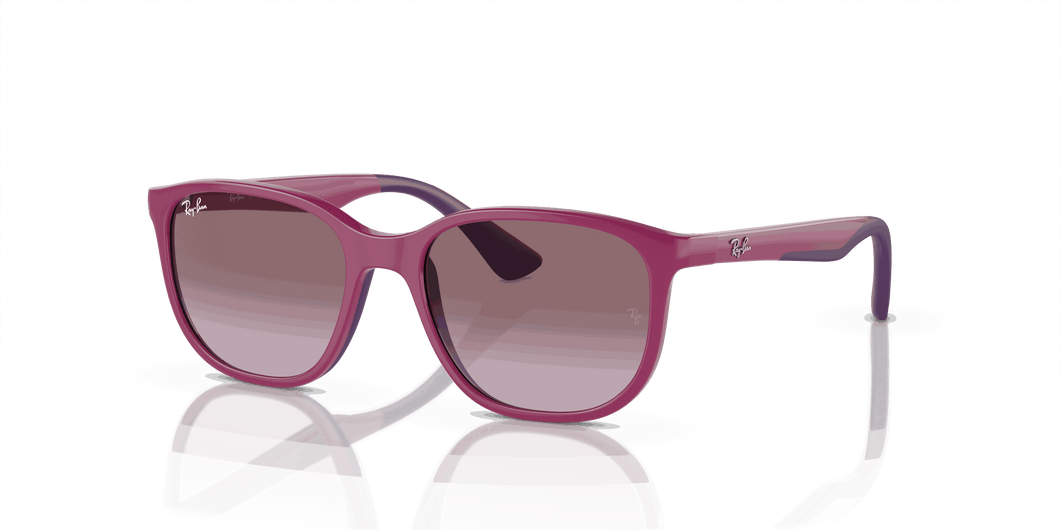 [Violet Lenses, Polished Fuchsia On Violet Frame]