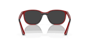 Silver/Grey Lenses, Polished Red On Black Frame