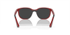 [Silver/Grey Lenses, Polished Red On Black Frame]