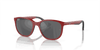 [Silver/Grey Lenses, Polished Red On Black Frame]