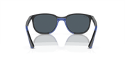 Dark Blue Lenses, Polished Grey On Blue Frame