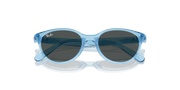 Dark Grey Lenses, Polished Transparent Blue Frame