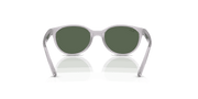 Dark Green Lenses, Polished Transparent Grey Frame