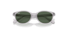 [Dark Green Lenses, Polished Transparent Grey Frame]