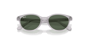 Dark Green Lenses, Polished Transparent Grey Frame