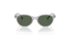 [Dark Green Lenses, Polished Transparent Grey Frame]