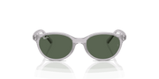 Dark Green Lenses, Polished Transparent Grey Frame