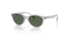 [Dark Green Lenses, Polished Transparent Grey Frame]