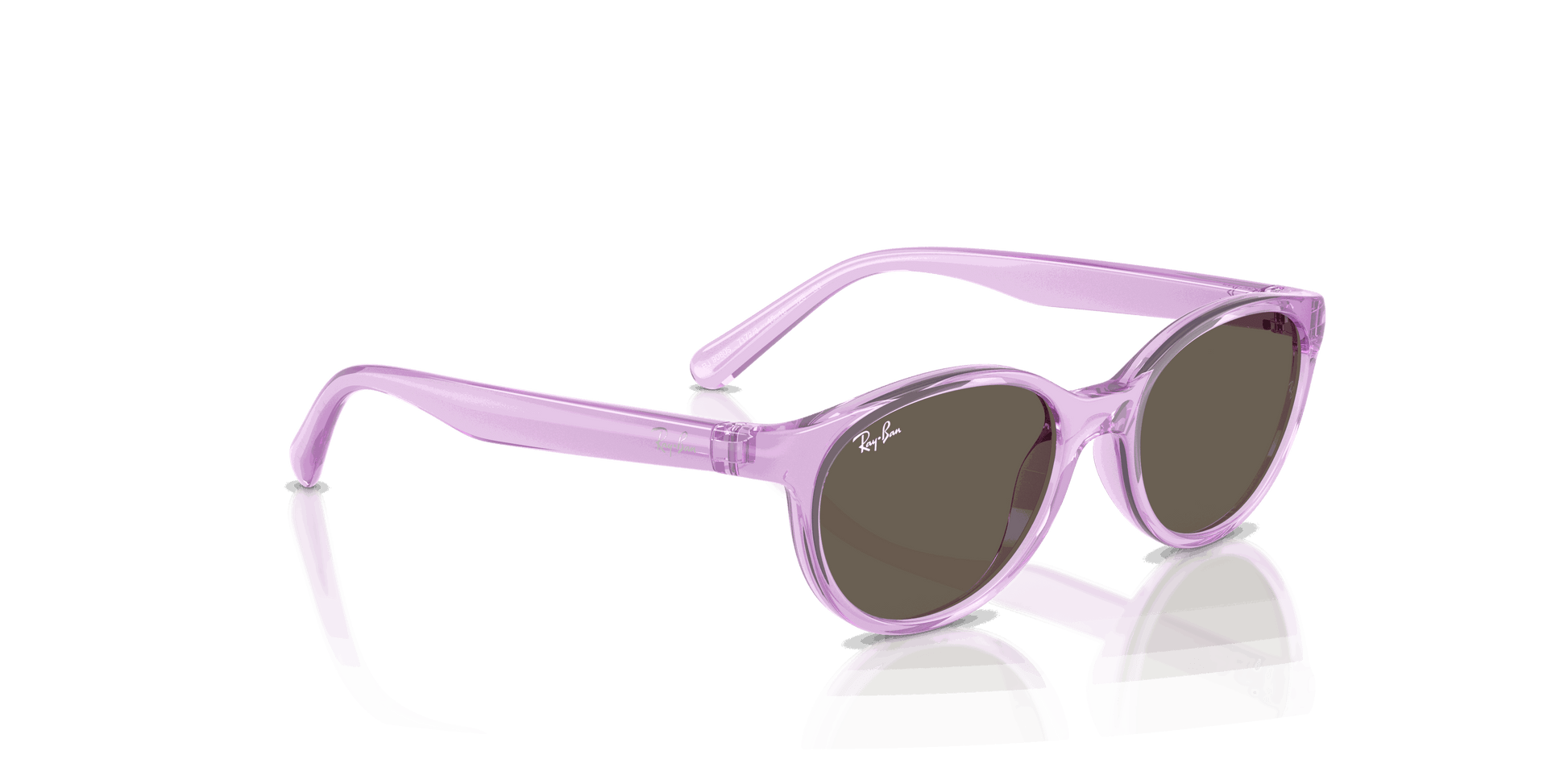 [Brown Lenses, Polished Transparent Violet Frame]