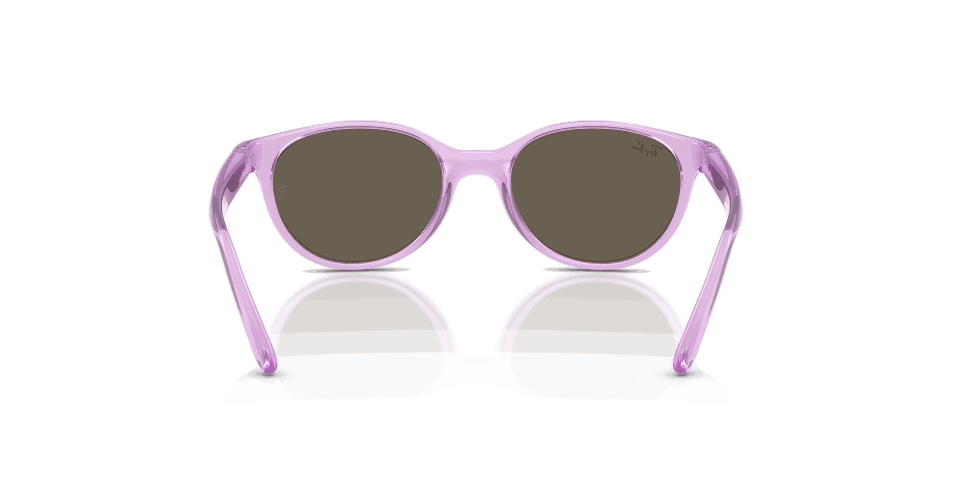 [Brown Lenses, Polished Transparent Violet Frame]