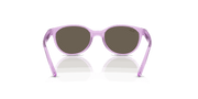 Brown Lenses, Polished Transparent Violet Frame