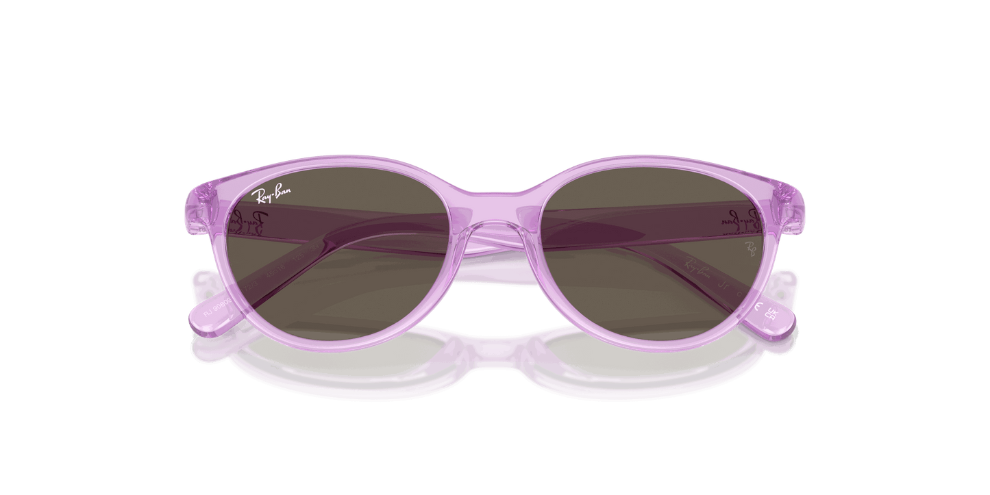 [Brown Lenses, Polished Transparent Violet Frame]