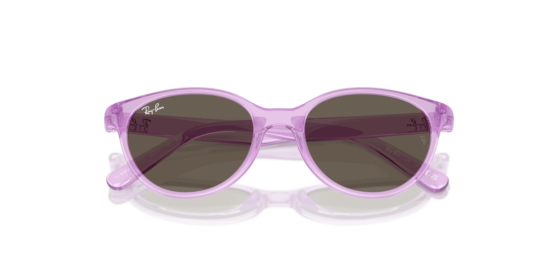 [Brown Lenses, Polished Transparent Violet Frame]