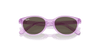 [Brown Lenses, Polished Transparent Violet Frame]