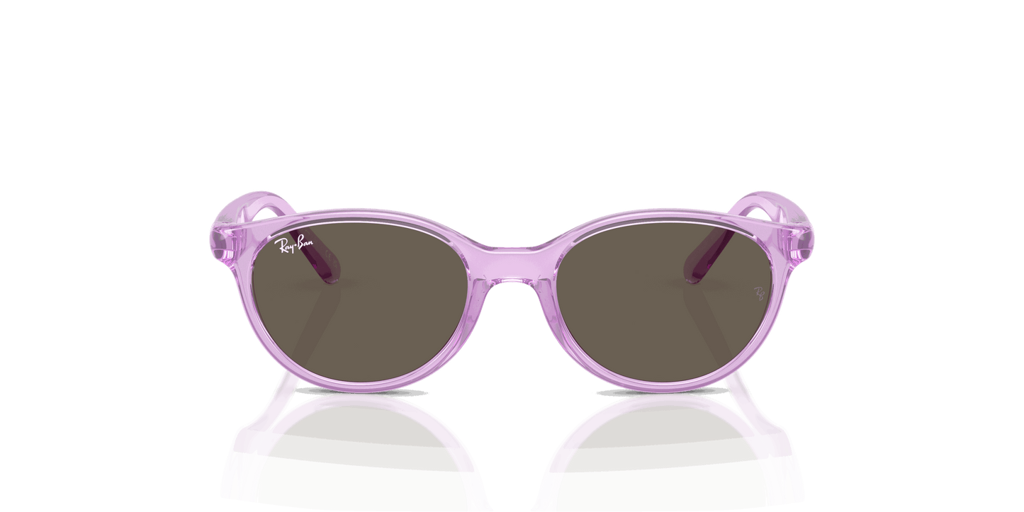 [Brown Lenses, Polished Transparent Violet Frame]