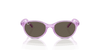 [Brown Lenses, Polished Transparent Violet Frame]