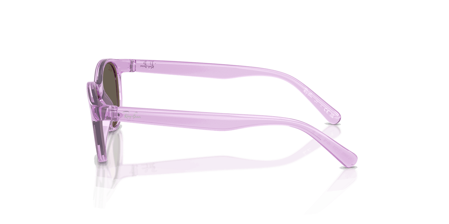 [Brown Lenses, Polished Transparent Violet Frame]