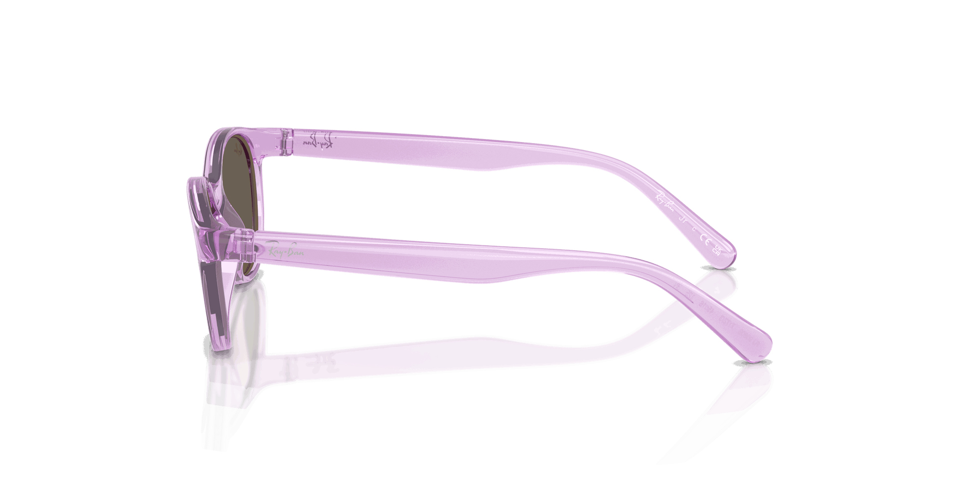 [Brown Lenses, Polished Transparent Violet Frame]